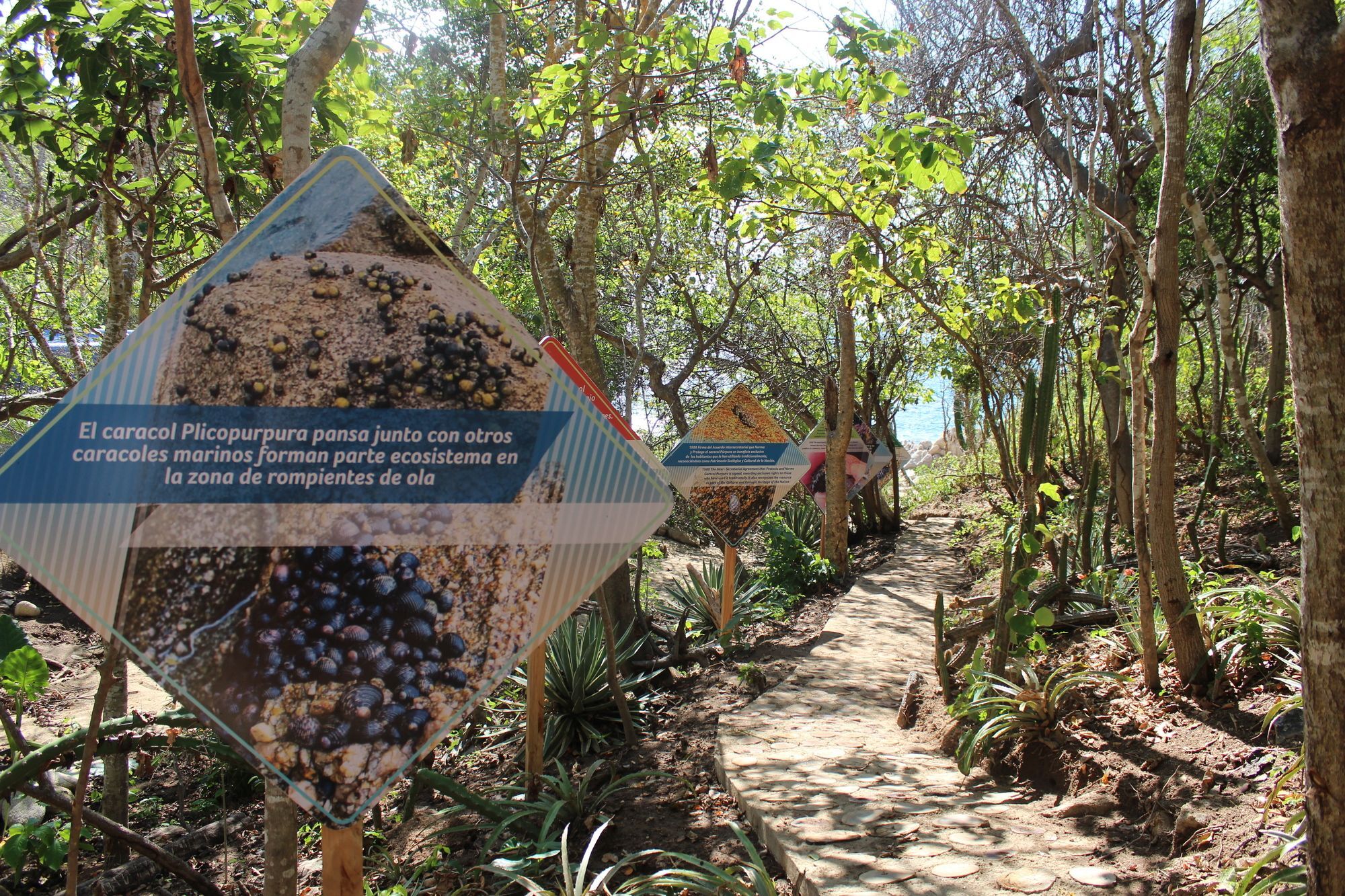 Isla Natura Beach Huatulco Santa Cruz Huatulco Extérieur photo